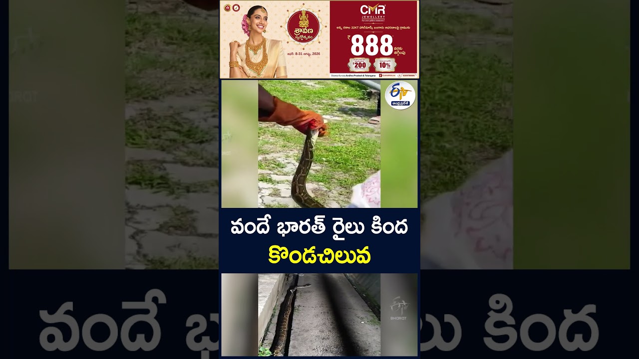 వందే భారత్&zwnj; రైలు కింద కొండచిలువ