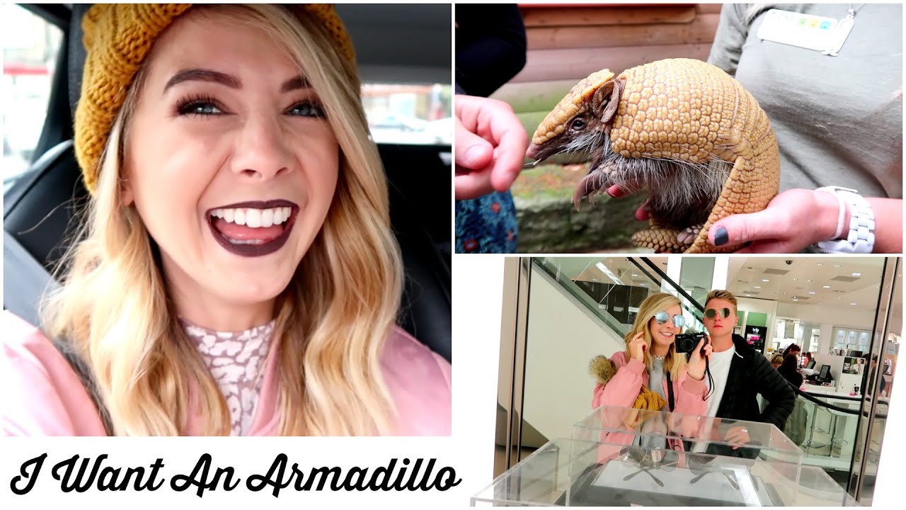 I WANT AN ARMADILLO
