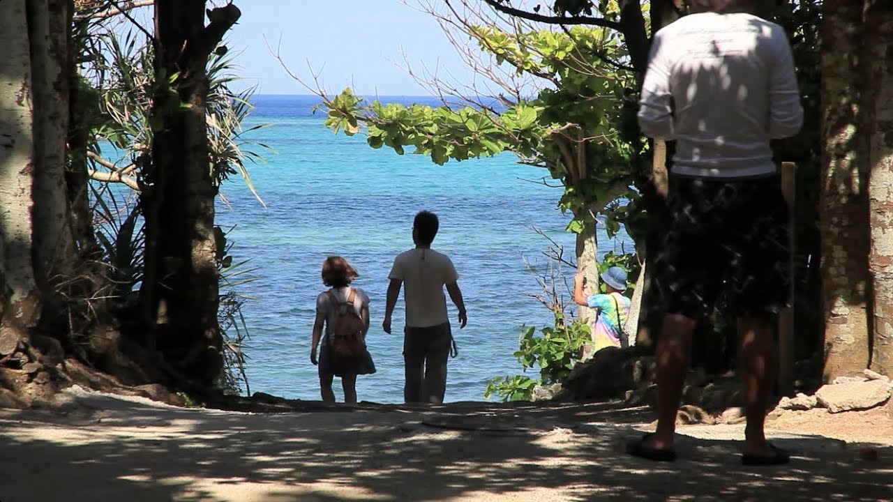 Tree Tunnel to the Beach, Okinawa ［備瀬のフクギ並木／沖縄］