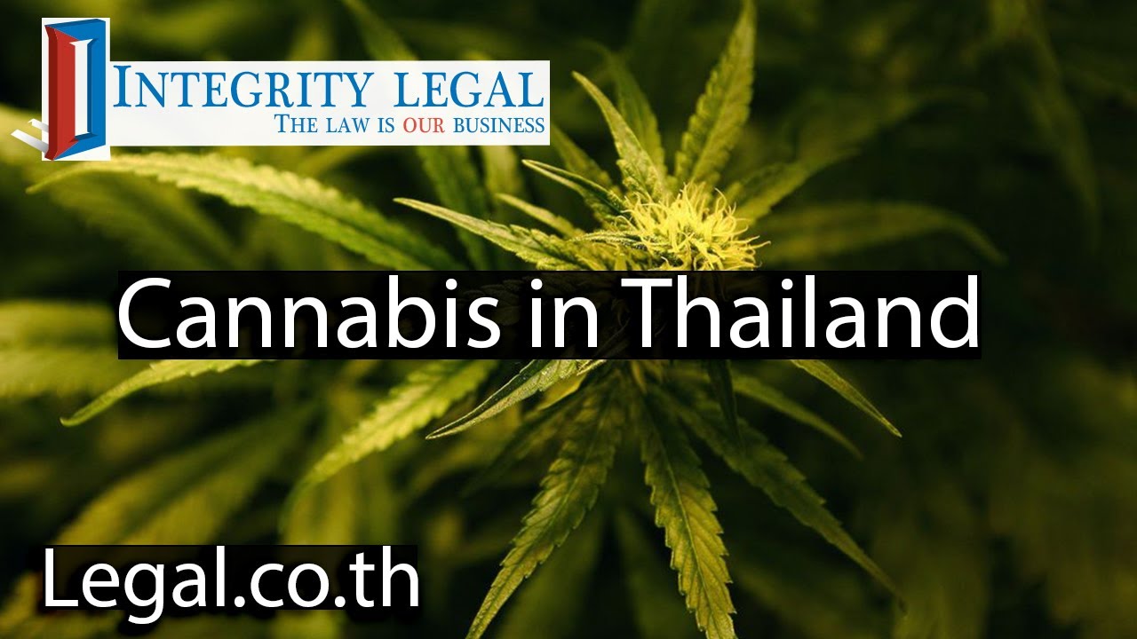 Will Thai Cannabis Legalization Be Rescinded In 2024?