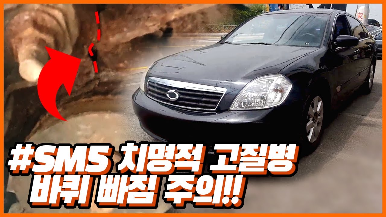 [나의 하루] 뉴 SM5 타시는 분들은 꼭 확인해 보세요!