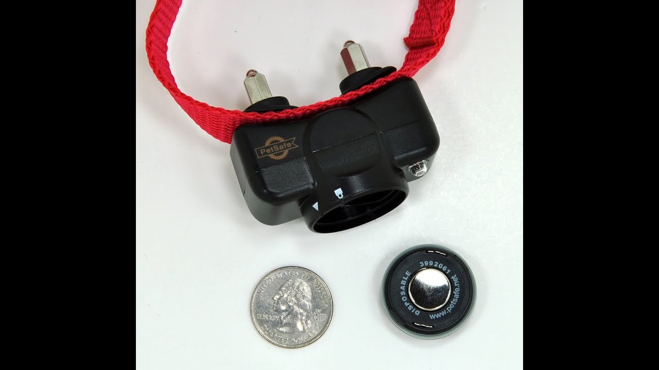 Dog Collar Battery Petsafe RFA-67 Hack Battery Replacement
