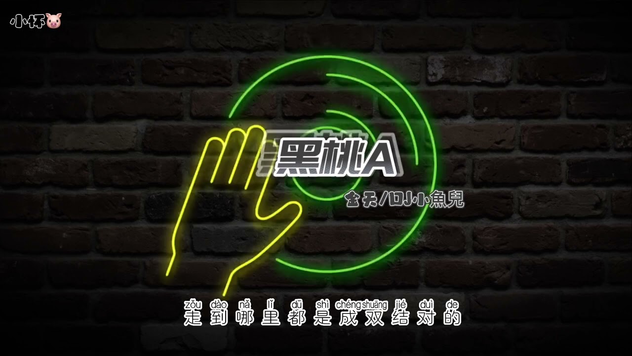 【karaoke卡拉OK】黑桃A（DJ小鱼儿）伴奏 hei tao A/ hei ei ei 你是我的宝贝