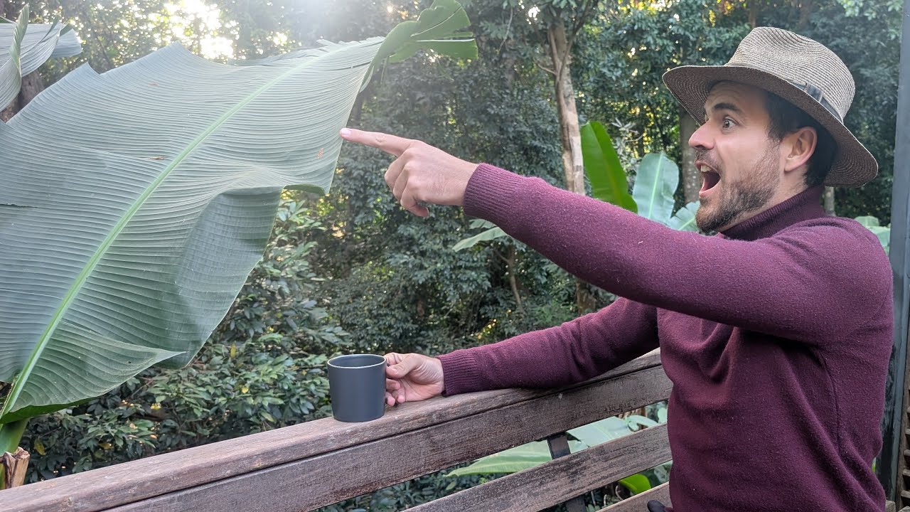 En pleine jungle au Laos pour 24€ et une Expérience UNIQUE