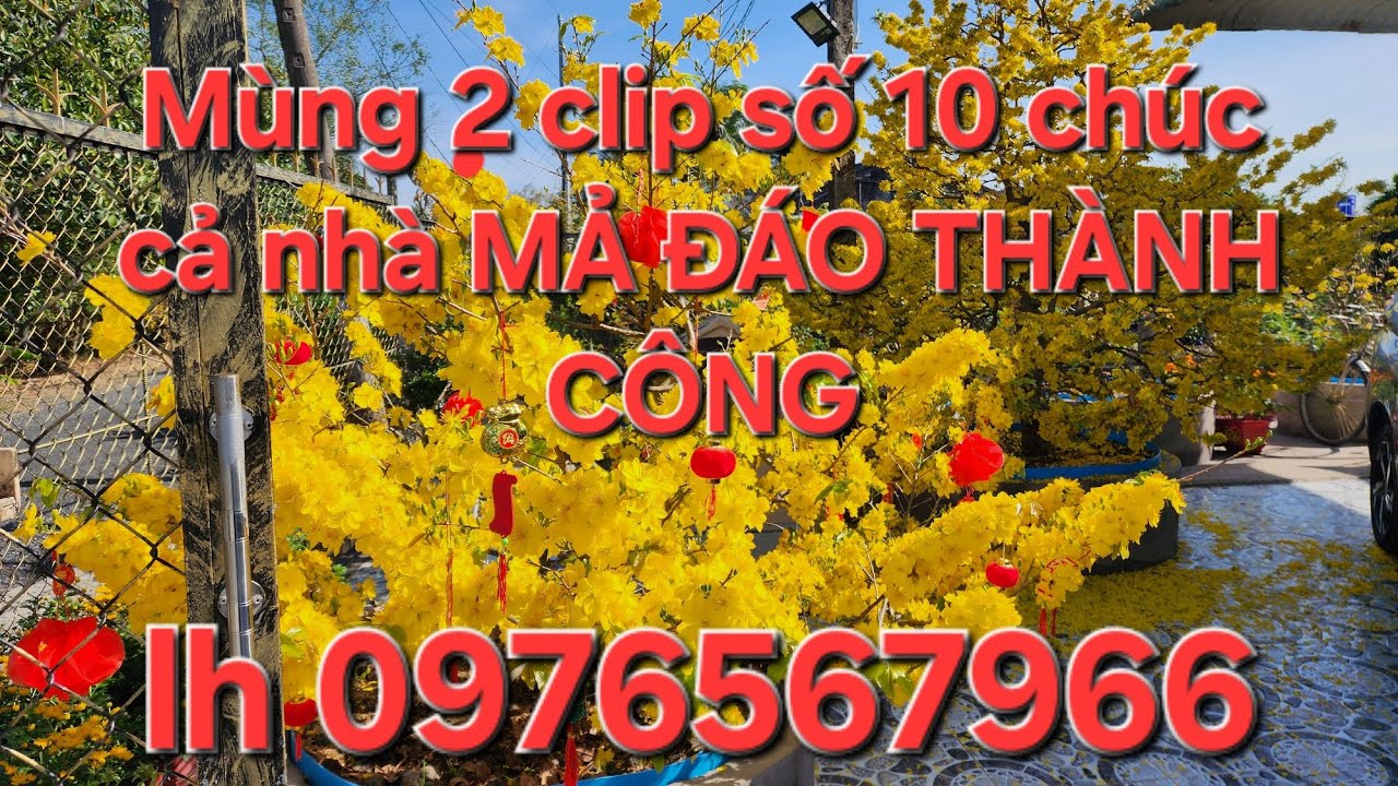 18/02 Minh nhí 0976567966 Gl 17  phoi mai đế vip giá hữu nghị kính mời ❤️❤️❤️