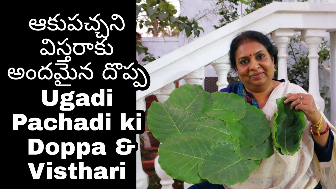 Handmade Leaf Plate/ How to Make Natural Leaf Plate/ Ugadi Pachadi/ Natural Life /Vistaraku