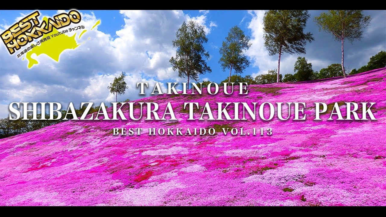 芝ざくら滝上公園 4K／北海道の絶景景色 【BESTHOKKAIDO_VOL.113】Superb view of Hokkaido／Shibazakura Takinoue Park
