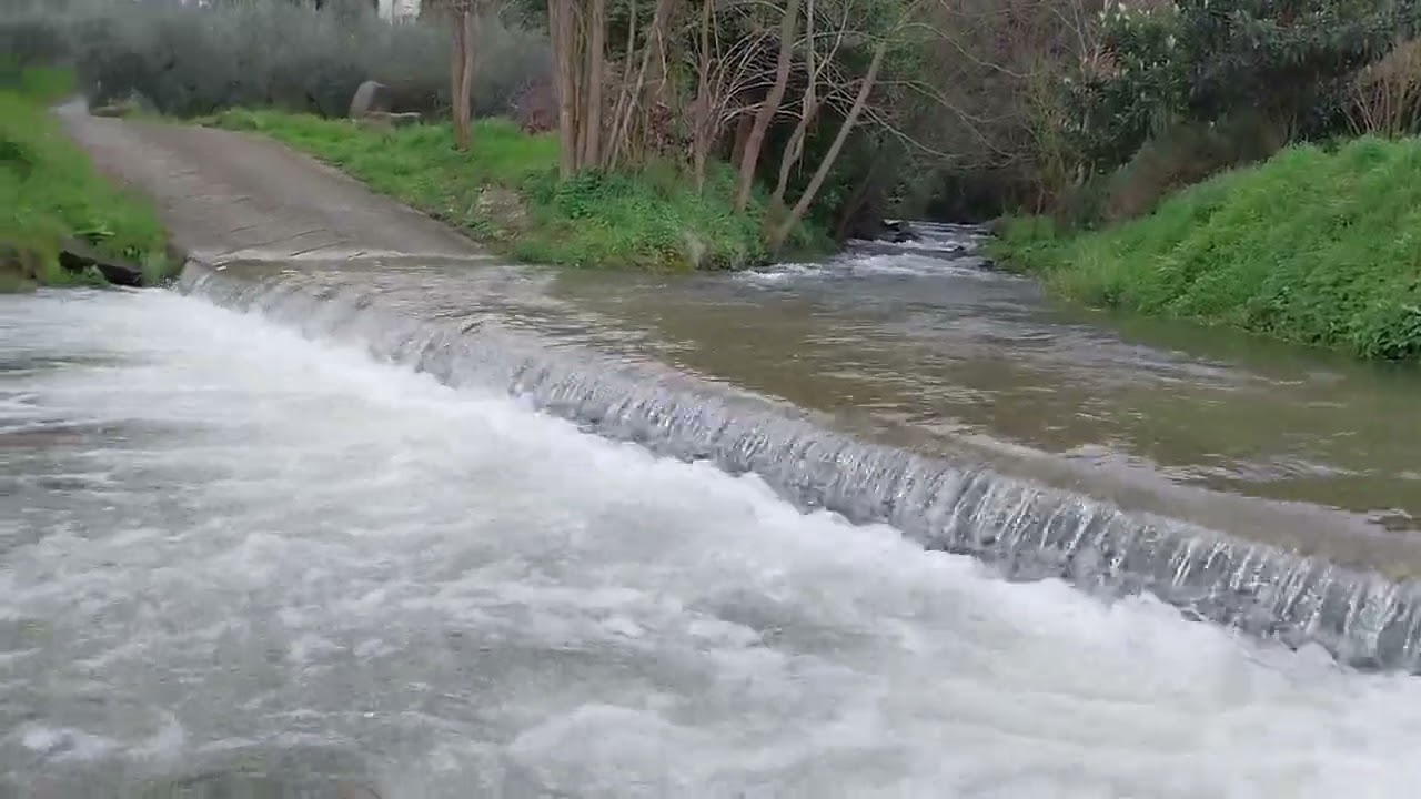 Il mio paradiso