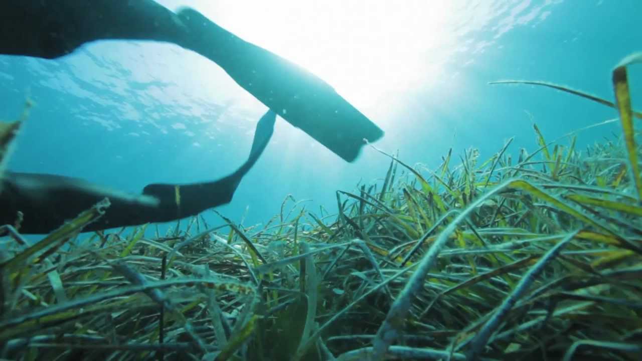 ÁETEM seatrekking longversion