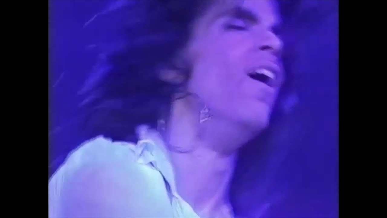 Prince - Purple Rain (Live 1988)