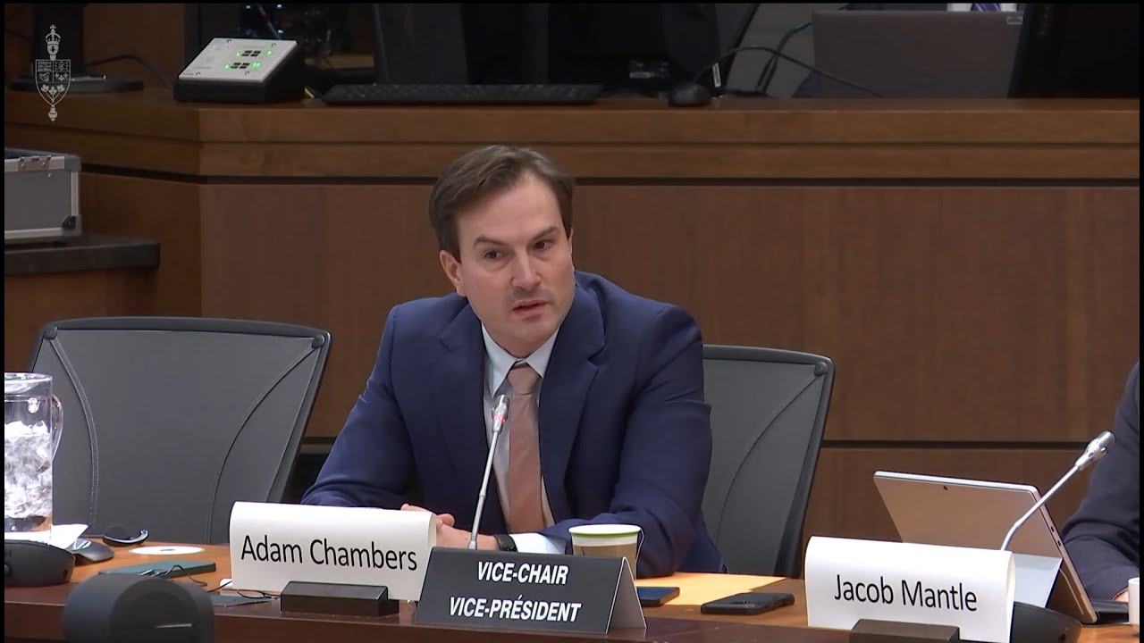 Чемберс задает вопросы министру Джоли в Торговом комитете