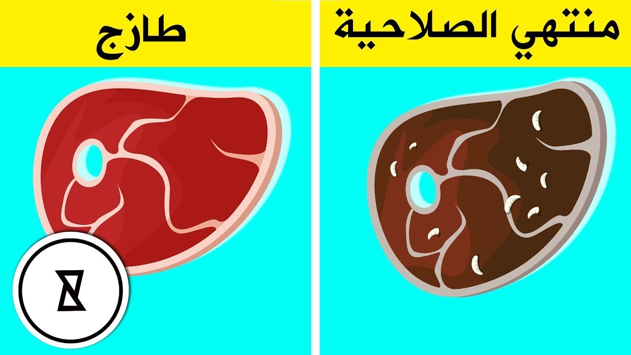 YouCurious Arabic | ماذا لو أكلت طعامًا منتهي الصلاحية؟ | فضولي