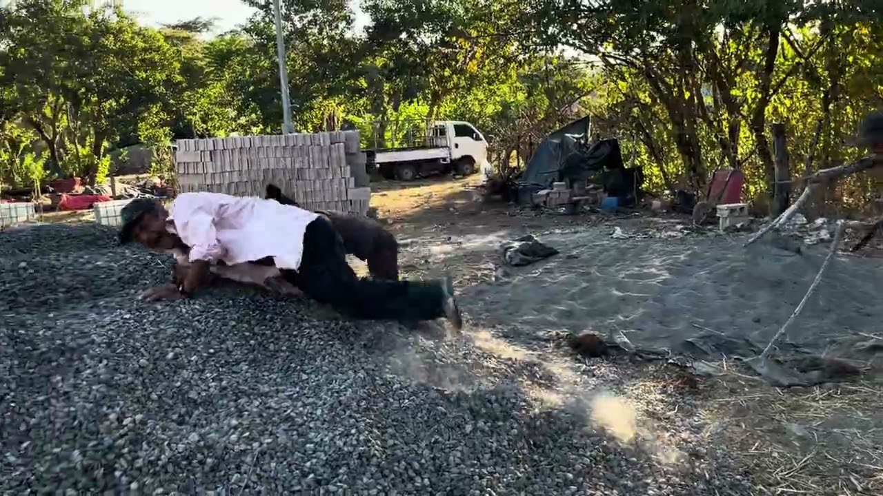 Sele tira el toro 🐂 jajaja 🤣 