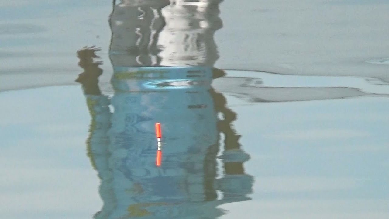 mancing ikan patin strike bertubi-tubi