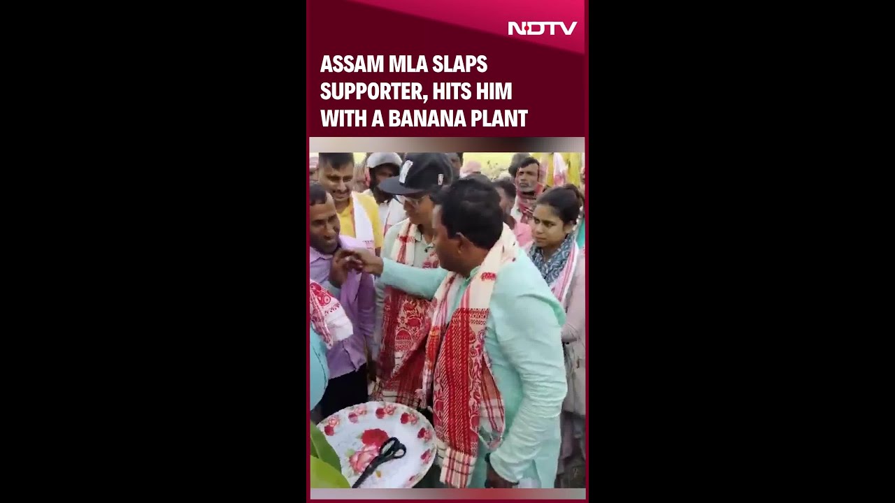 Assam MLA Slaps Supporter, Hits Him With A Banana Plant