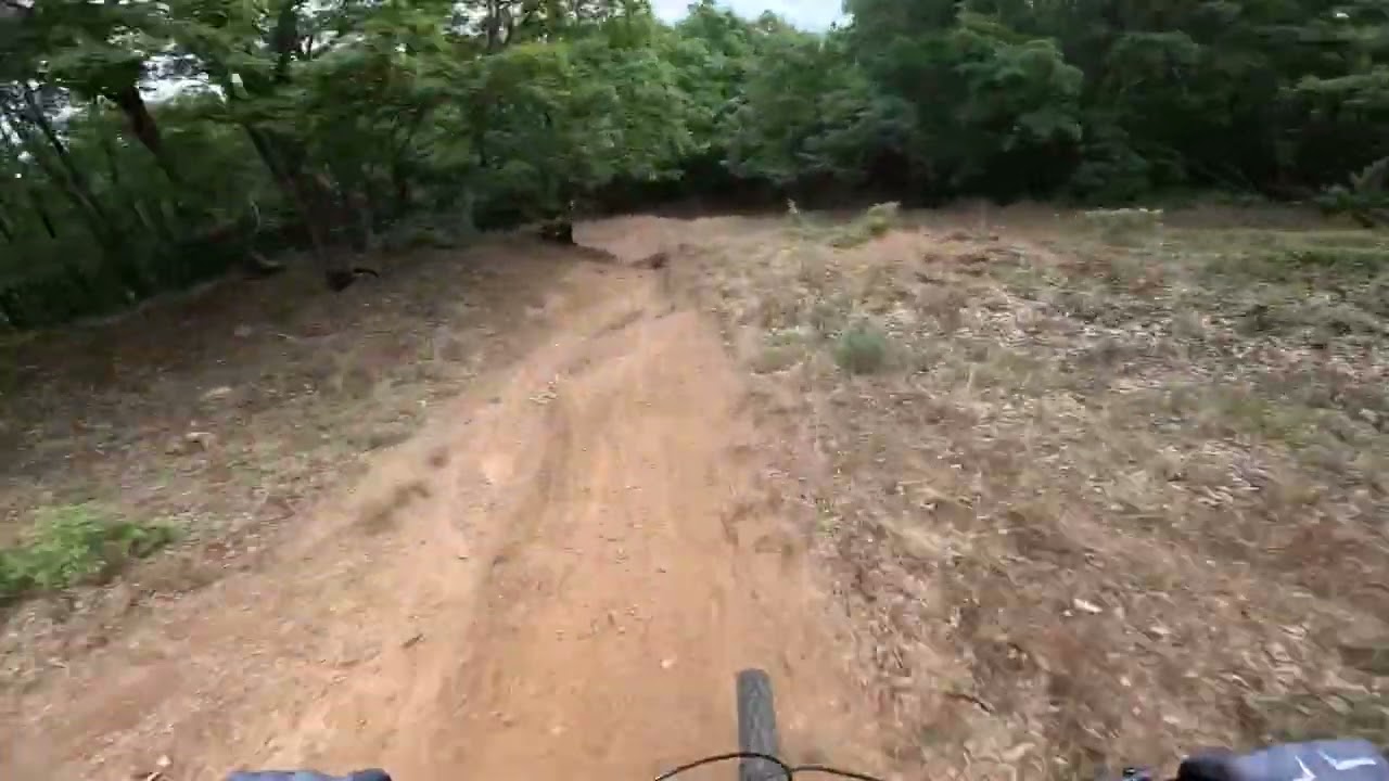 GOGO DH TRAIL 2023