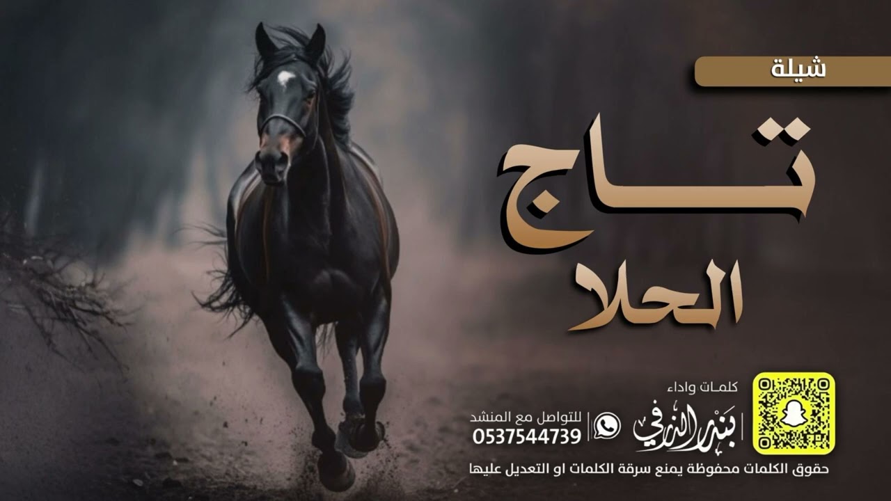 شيلة تاج الحلا | كلمات واداء بندر الذرفي حصرياً 2025
