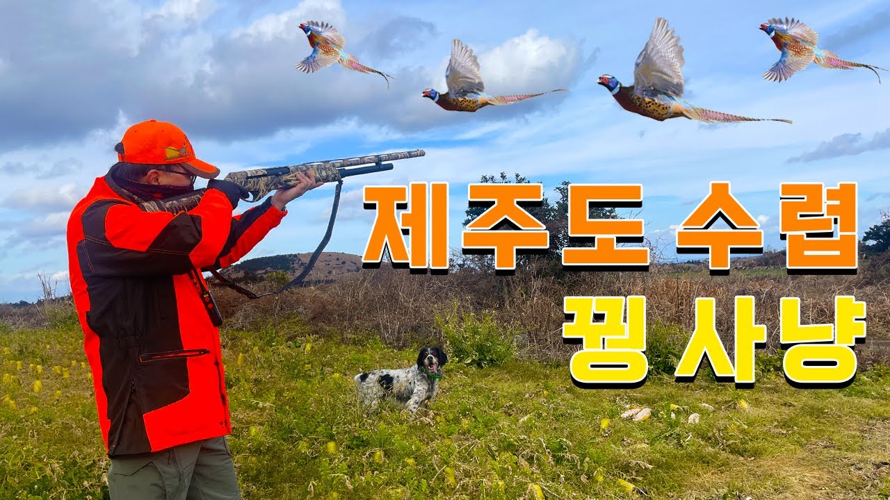 제주도에서 수렵 엽총으로 사냥개와 꿩사냥하러가는 리뷰