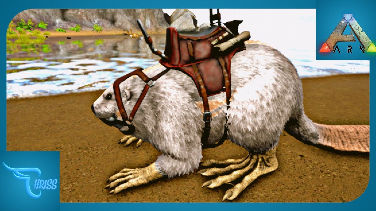 CARA MUDAH TAMING CASTOROIDES EPS 38 || ARK: Ultimate Mobile Edition Indonesia