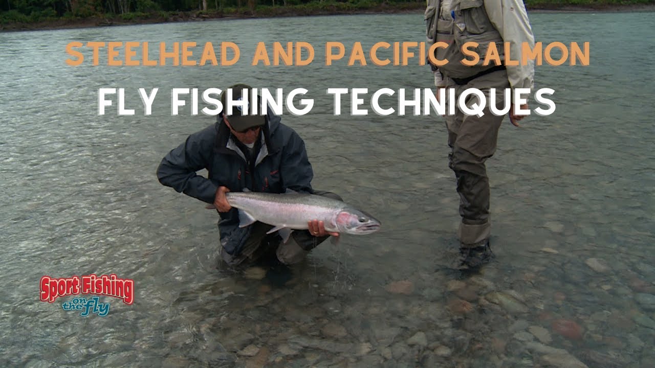 FLY FISHING: STEELHEAD AND PACIFIC SALMON