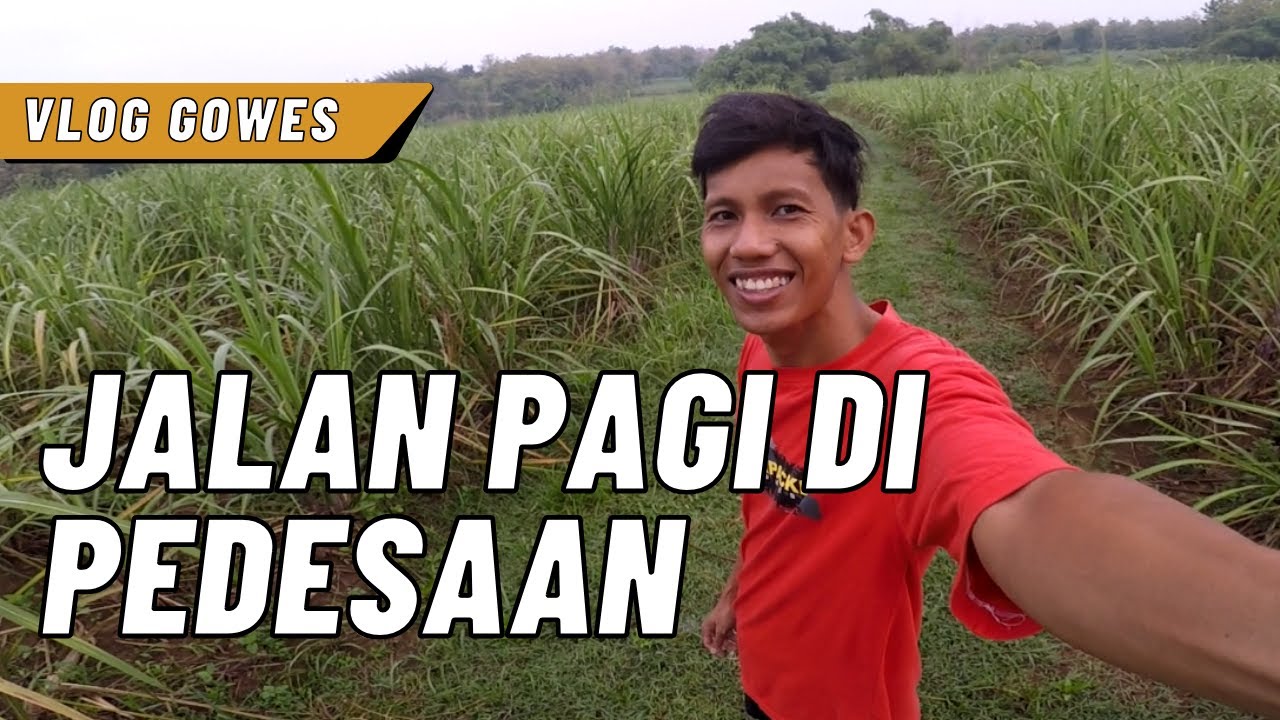 Jalan Pagi dengan Suasana Syahdu di Pedesaan