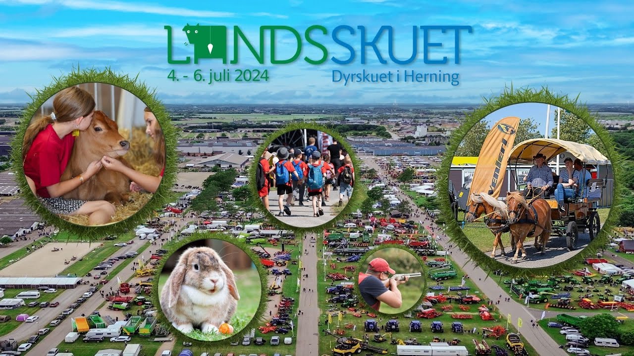 Landsskuet Brandfilm