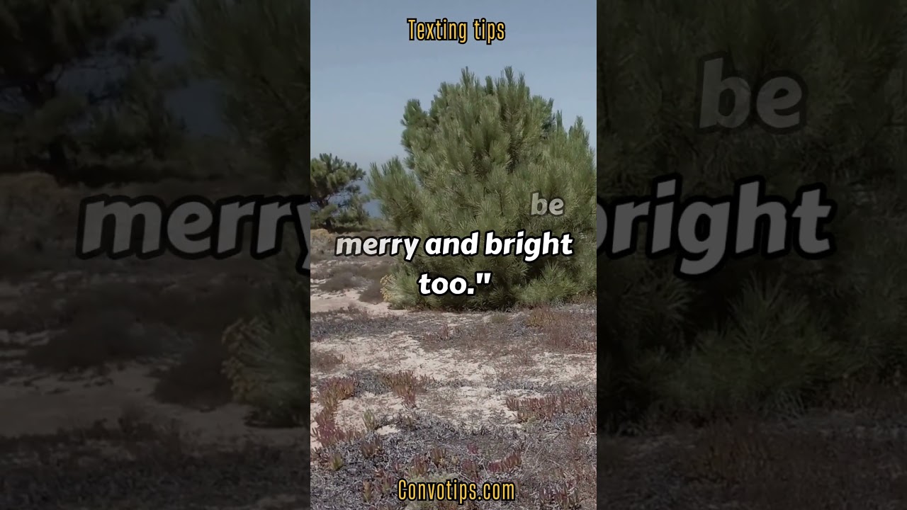 how to respond to merry christmas text