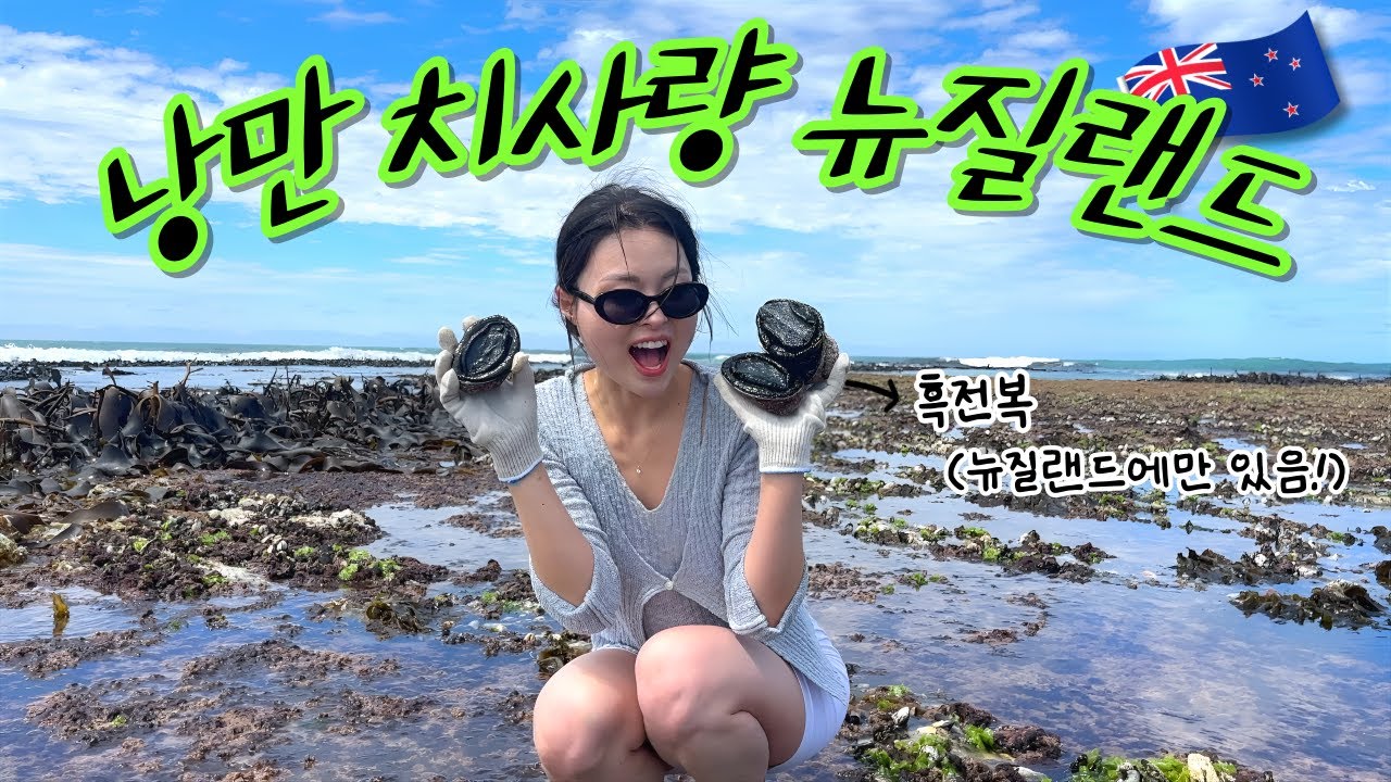 🇳🇿 귀하디 귀한 흑전복 맨손으로 잡으러 가기 (장소, 꿀팁, 주의할 점)