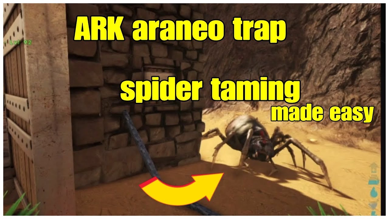 ARK Araneo Easy Spider Trap