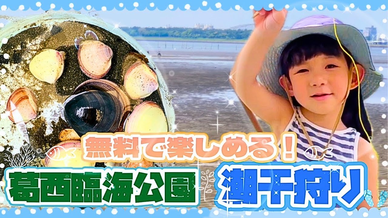 【東京湾で潮干狩り】公園なのに貝を採りながら磯遊びも出来る無料スポットをご紹介