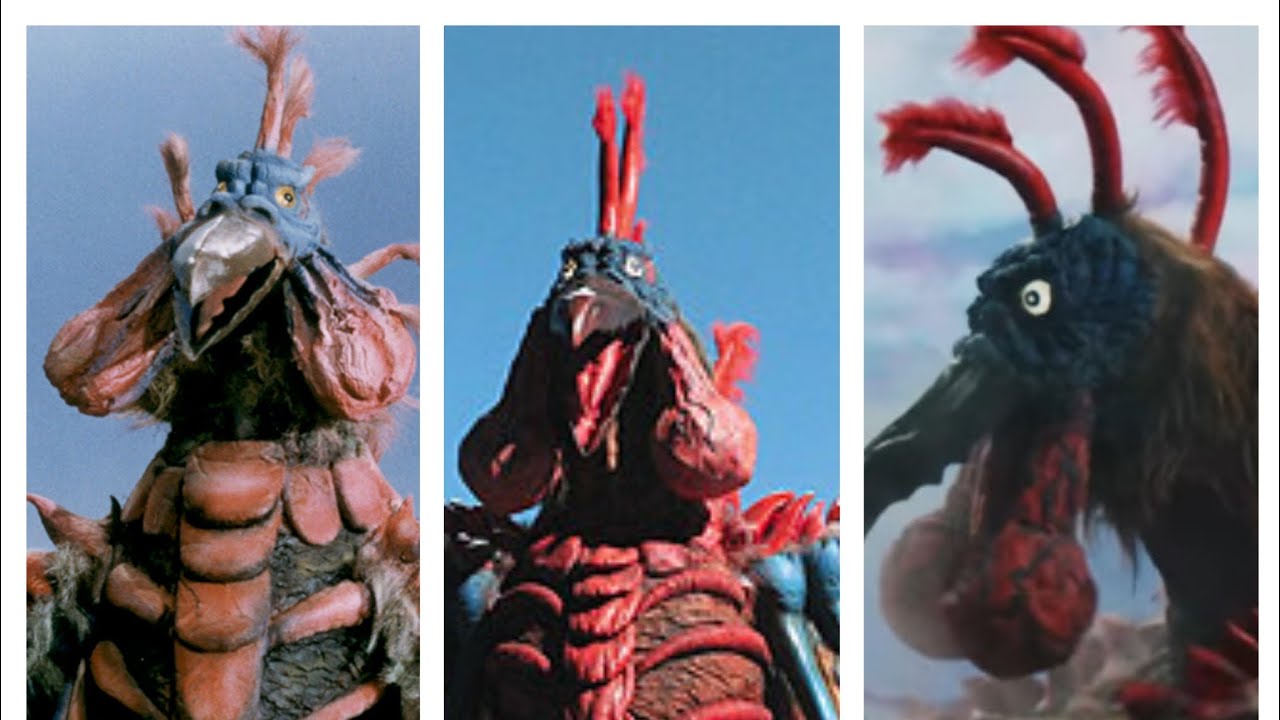 Evolution of Birdon (1973-2017)