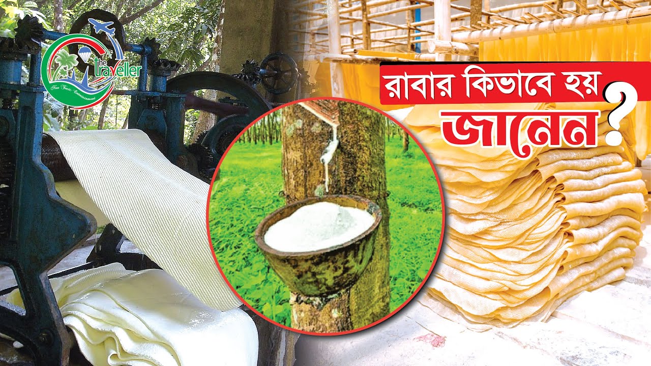 রাবার উৎপাদন প্রক্রিয়া || Rubber Manufacturing Process || Bangladesh || The Traveller