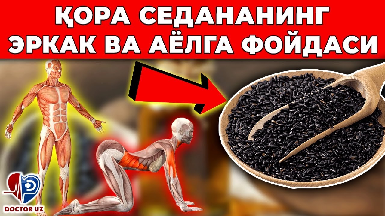 ҚОРА СЕДАНАНИНГ УШБУ МЎЖИЗАВИЙ ХУСУСИЯТЛАРИ СИЗНИ ЛОЛ ҚОЛДИРАДИ