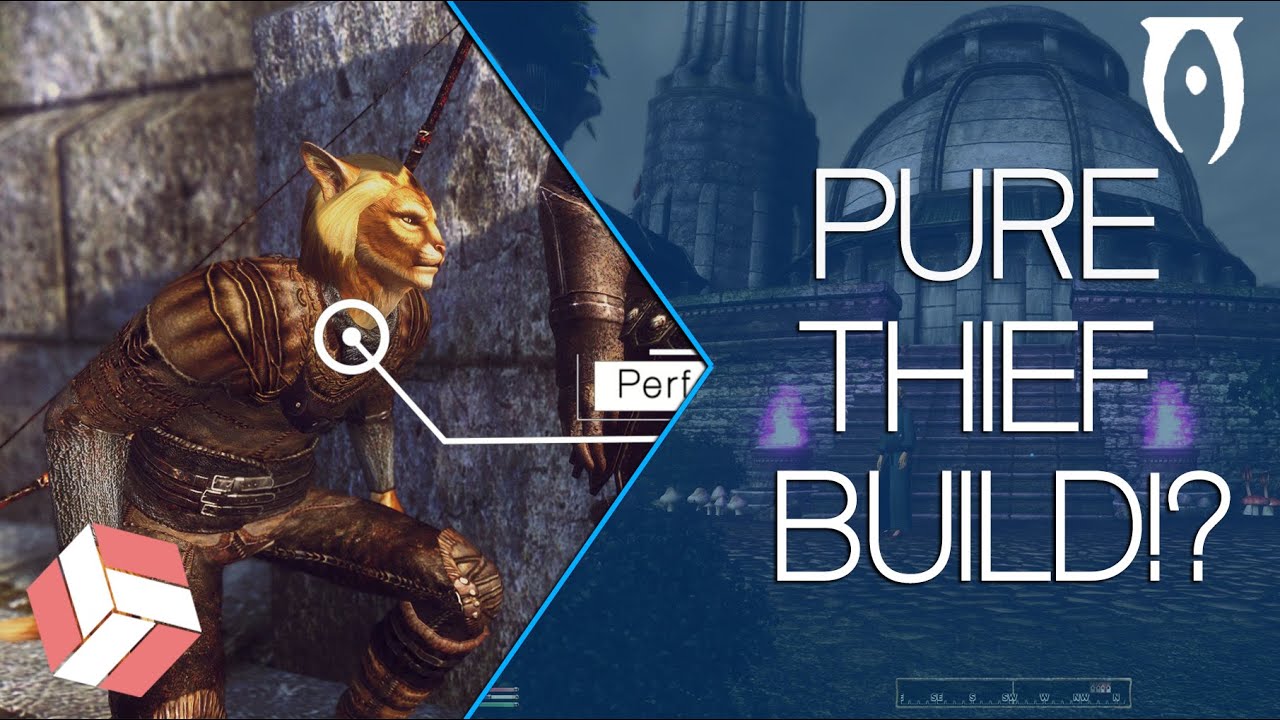 Oblivion - Character Builds: The Pure Thief (2019 Class Guide)