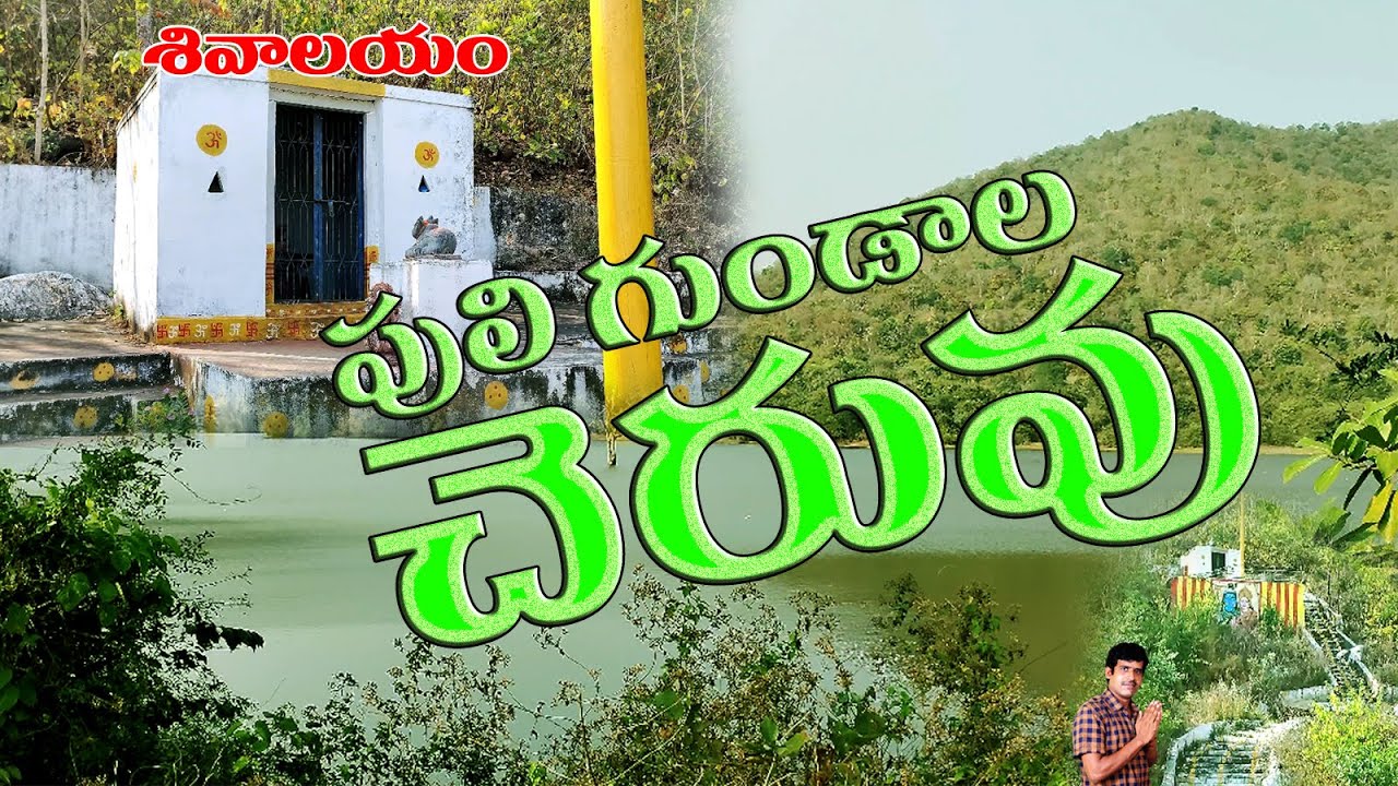 కనకగిరి రిజర్వ్ ఫారెస్ట్ పులిగుండాల ప్రాజెక్ట్ | Kalluru Puligundam Cheruvu | Vlog | Sivalayam | rsr