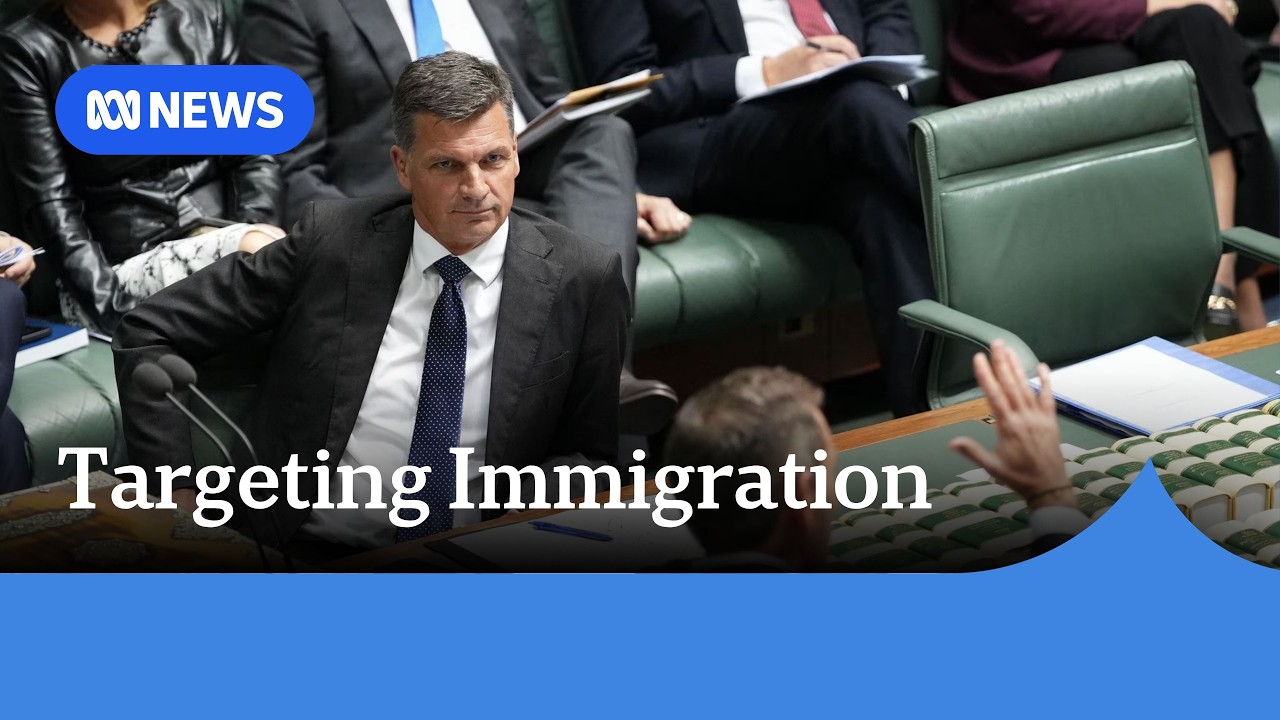 Angus Taylor to focus on immigration in budget reply | ABC NEWS