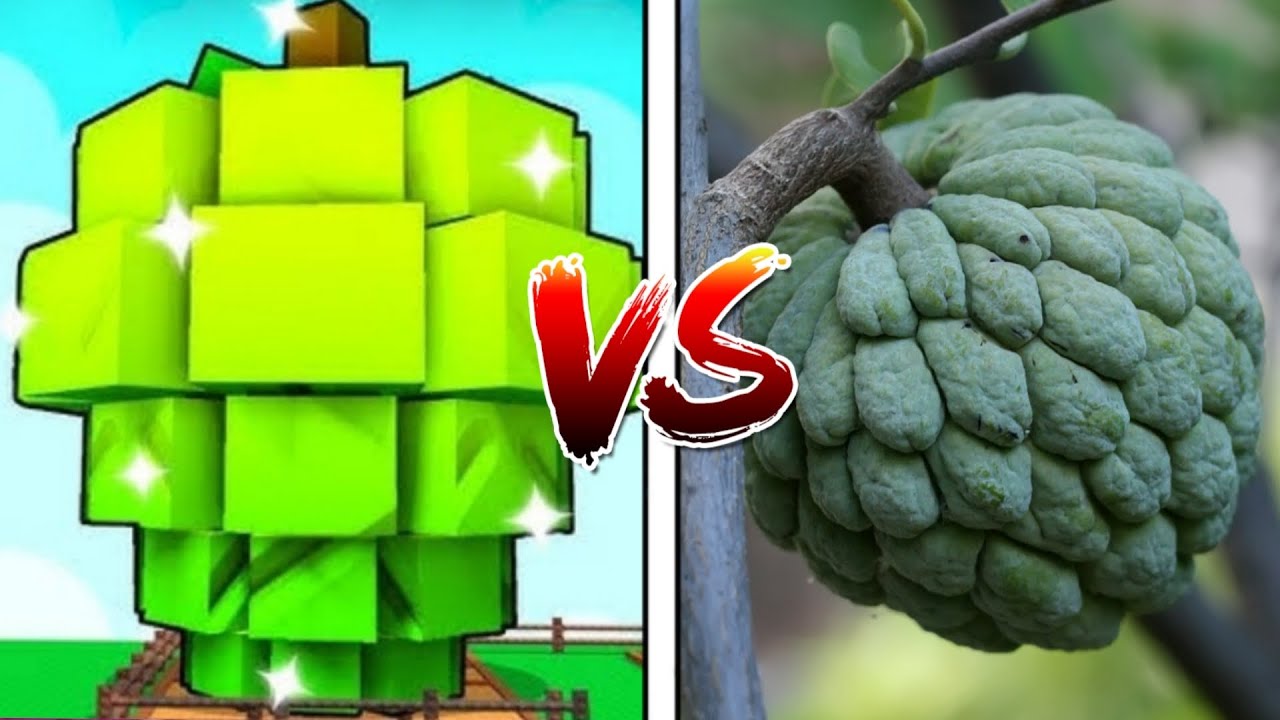 Roblox Grow a Garden vs real life fruit