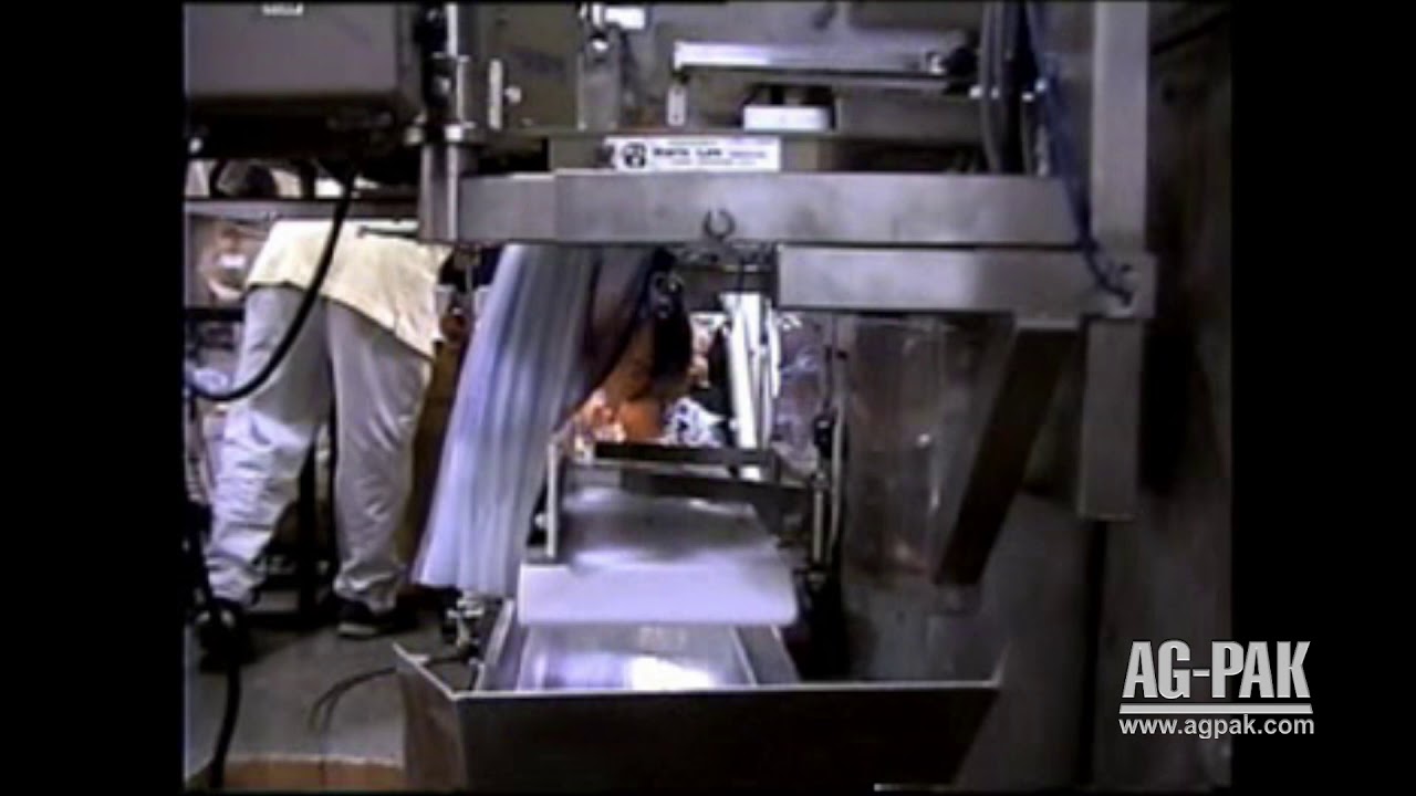 NEWTEC 3013XL Weigher and NEWTEC PEB60 Wicketed Bagger