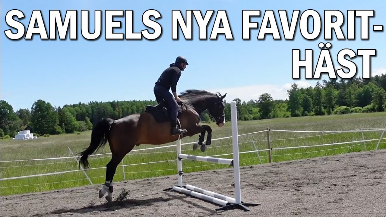 Annas man Samuel testar att rida en ny häst - Stallvlogg