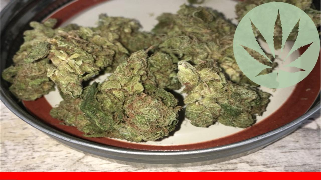 Popcorn Kush - All About This Strain