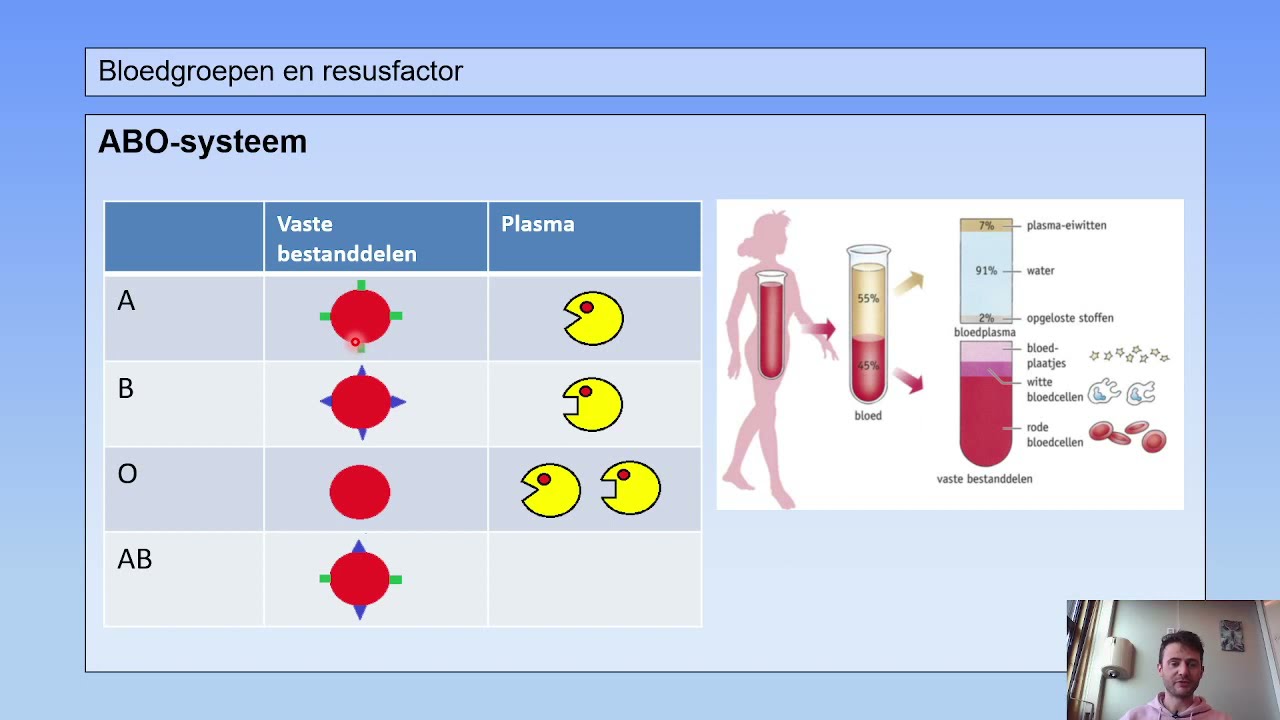 6 vwo | Afweer | 6 | Bloedgroepen en resusfactor