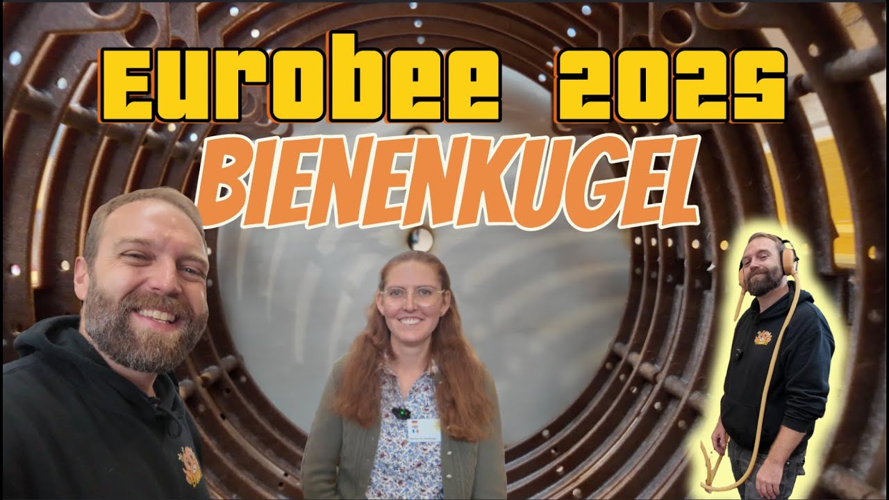 Eurobee 2025 - Die Bienenkugel und Bienen hören