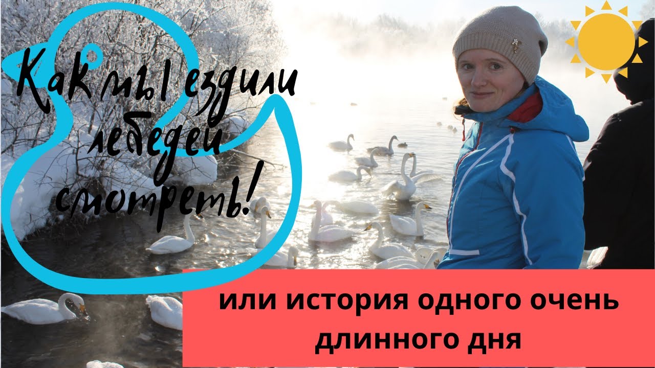 Долгая дорога  в поисках лебедей из Новосибирска. Поездка на Лебединое озеро в Алтайский край!