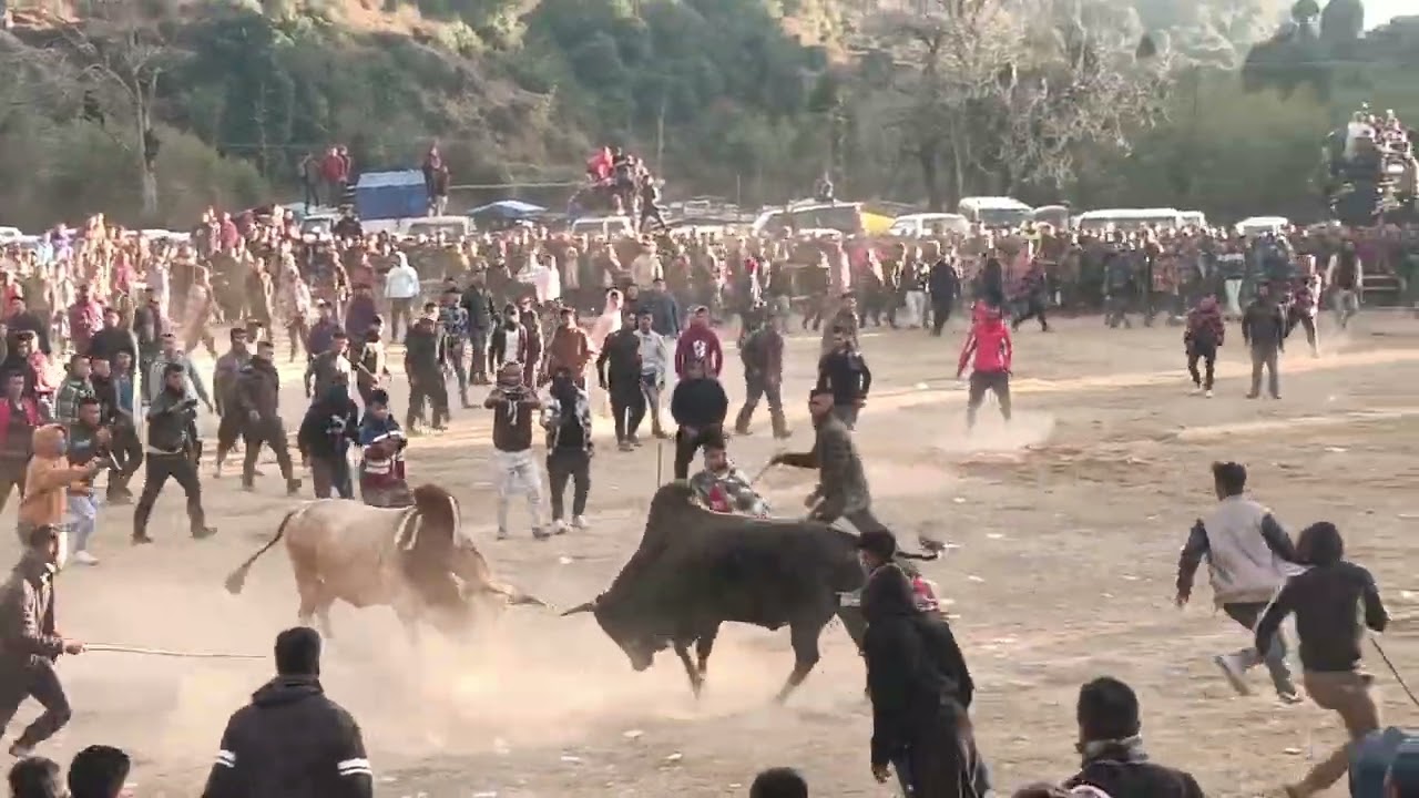 lieh ujes vs dungnar tang malu mala jop u liehujes