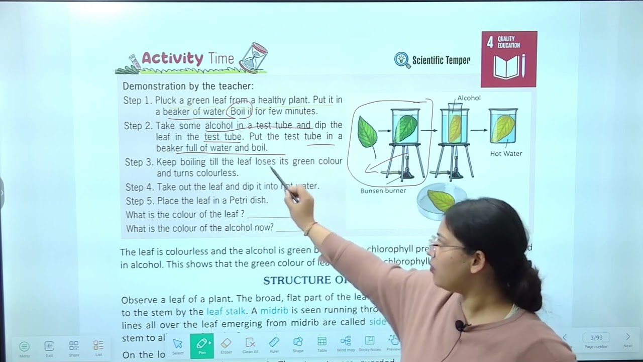 Chapter 1- Green Plants: The Food Producers |  Science Class 4
