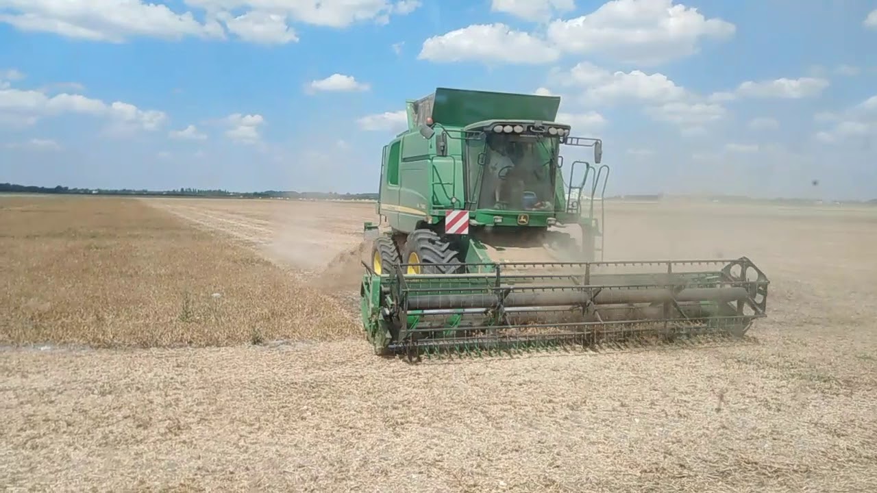 Moisson petit pois en grain 2019
