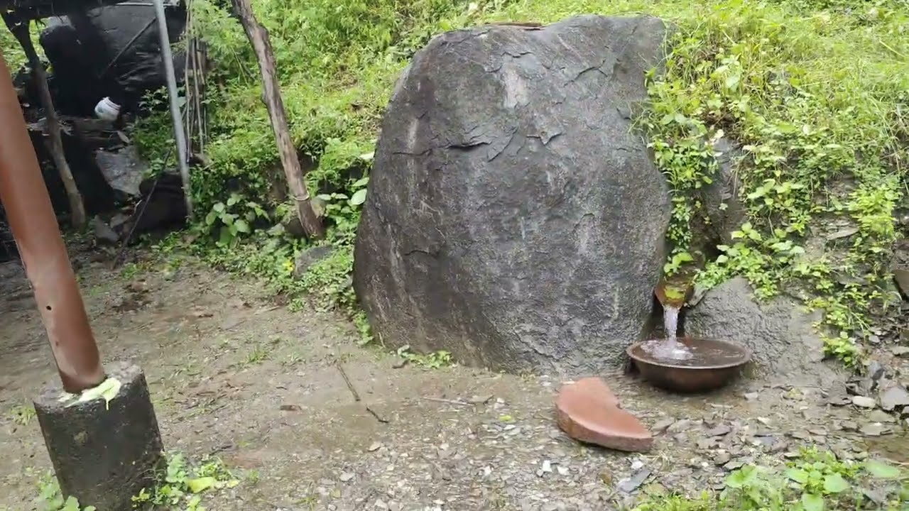 हरी मोहन का घर । Jungle Trek । Water Streams । Dense Forests । भालू घाटी का Entrance नदी से सराबोर
