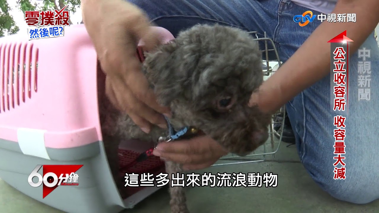 零撲殺 然後呢? Part 1 刪除