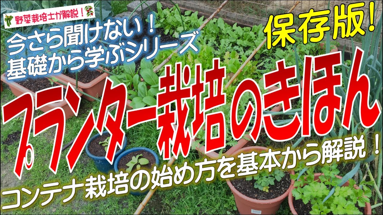 プランター栽培の基本（コンテナ栽培の魅力と始め方）家庭菜園の初心者でも簡単に始められる野菜作り！