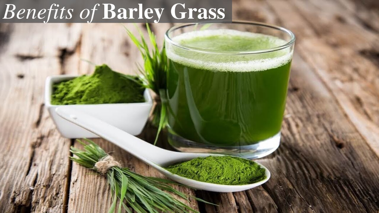 9 Amazing Health Benefits of Barley Grass
